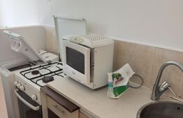 Garsoniera de vânzare, 21 mp, etaj 2, central