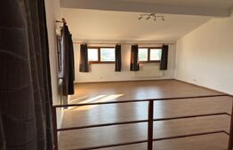 Casa tip duplex, 5 camere, 260 mp, teren de 750 mp, Botosani