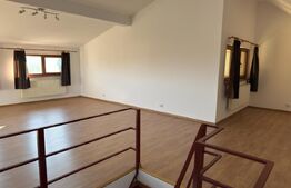  Casa tip duplex, 5 camere, 260 mp, teren de 750 mp, Botosani