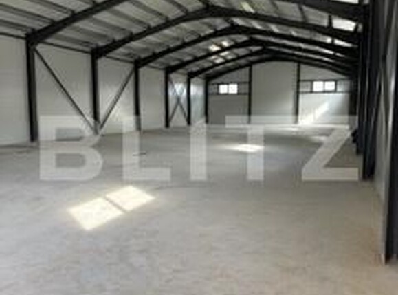 Spațiu industrial de închiriat Exterior Sud - 174560SII | BLITZ Botoșani | Poza7