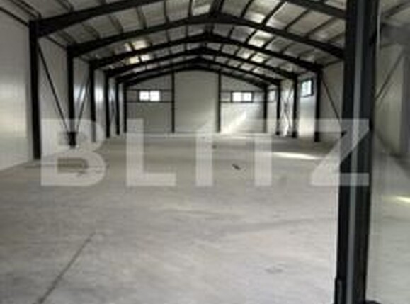 Spațiu industrial de închiriat Exterior Sud - 174560SII | BLITZ Botoșani | Poza10