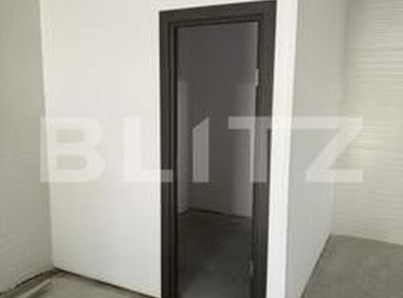 Spațiu industrial de închiriat Exterior Sud - 174560SII | BLITZ Botoșani | Poza9