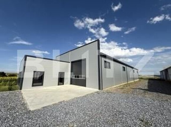 Spațiu industrial de închiriat Exterior Sud - 174560SII | BLITZ Botoșani | Poza1