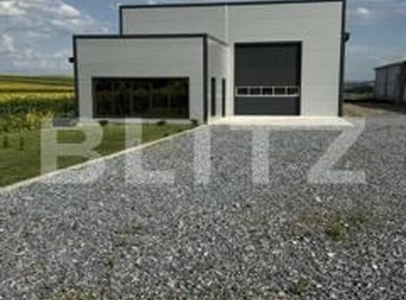 Spațiu industrial de închiriat Exterior Sud - 174560SII | BLITZ Botoșani | Poza3
