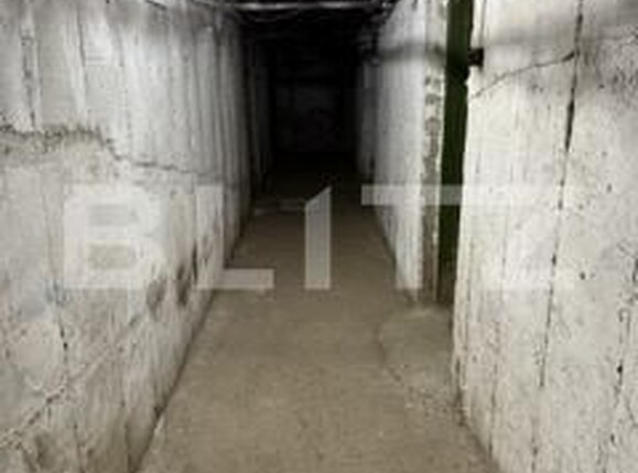 Spațiu birouri de închiriat Bucovina - 174566SIB | BLITZ Botoșani | Poza12