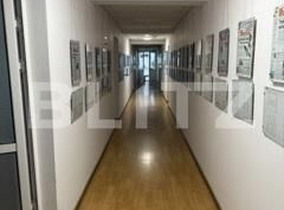 Spațiu birouri de închiriat Bucovina - 174566SIB | BLITZ Botoșani | Poza1