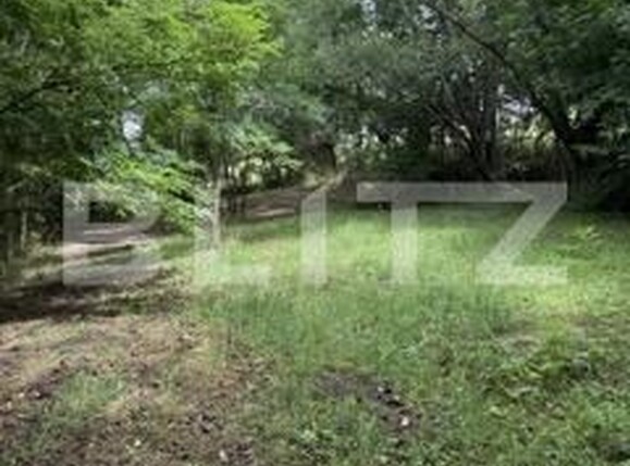 Teren de vânzare Manastirea Doamnei - 174799TV | BLITZ Botoșani | Poza1