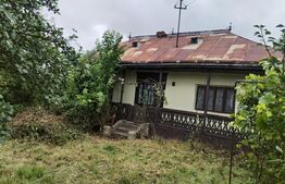 Casa batraneasca cu 2700mp teren intravilan - Broscauti