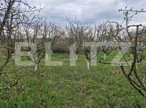 Casa de vânzare 2 camere Dorohoi - 174817CV | BLITZ Botoșani | Poza3