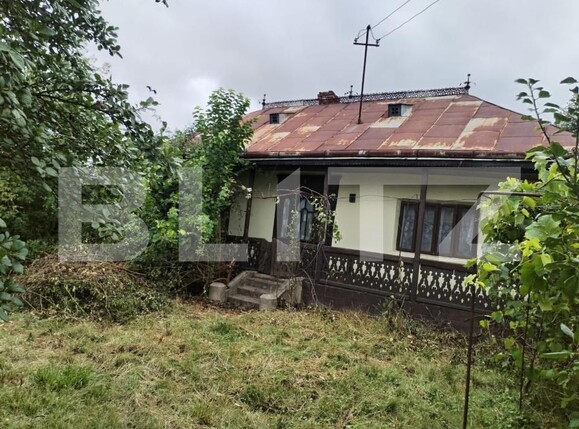 Casa de vânzare 2 camere Dorohoi - 174817CV | BLITZ Botoșani | Poza1