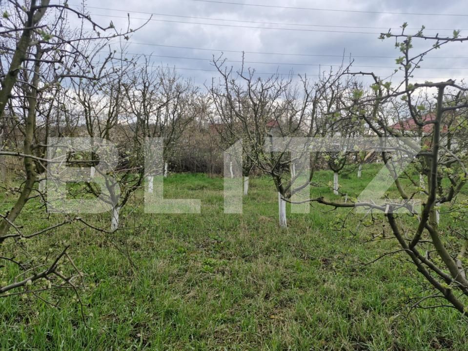 Casa de vânzare 2 camere Dorohoi - 174817CV | BLITZ Botoșani | Poza3