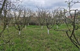 Teren de 2700 mp, deschiderea la strada principala, Borscauti-Dorohoi 