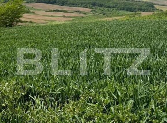 Teren de vânzare Curtesti - 175578TV | BLITZ Botoșani | Poza1