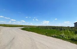 Teren intravilan 3000mp Catamarasti Deal 