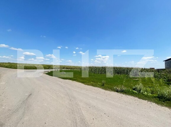 Teren de vânzare Catamaresti-Deal - 175735TV | BLITZ Botoșani | Poza1