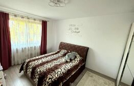 Casă spațioasă cu teren de 2100 mp și livadă – Brehuiești