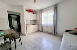 Apartament 1 cameră cu balcon – zona Parcul Tineretului