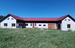 Casa individuala la gri, 160mp+garaj+magazie+ 3500mp teren intravilan, Paltinis