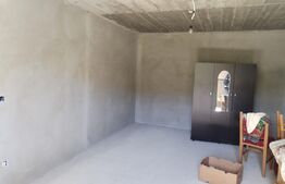 Casa individuala la gri, 160mp+garaj+magazie+ 3500mp teren intravilan, Paltinis