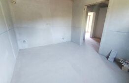 Casa individuala la gri, 160mp+garaj+magazie+ 3500mp teren intravilan, Paltinis