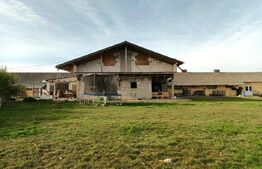 Proprietate cu casă la roșu și teren 5.500 mp – Zăicești