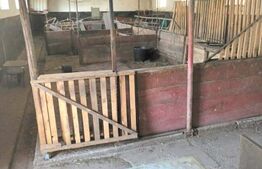 Proprietate cu casă la roșu și teren 5.500 mp – Zăicești