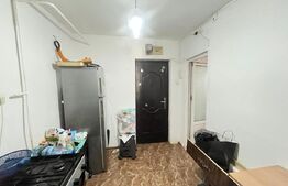 De vânzare – Apartament 2 camere, parter cu extindere, zona Primăverii 