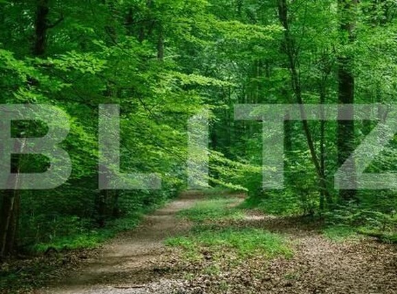 Teren de vânzare Cucorani - 177222TV | BLITZ Botoșani | Poza1