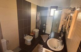 Vila de lux P+E+M în comuna Tudora – finisaje premium, complet mobilată!