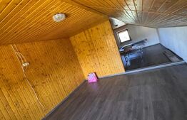 Vila de lux P+E+M în comuna Tudora – finisaje premium, complet mobilată!