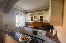 Vila de lux P+E+M în comuna Tudora – finisaje premium, complet mobilată!