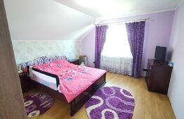 Vilă D+P+1+M - lux Dorohoi – 228 mp utili, teren 2.300 mp 