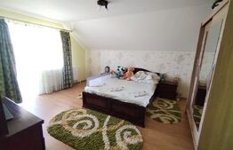 Vilă D+P+1+M - lux Dorohoi – 228 mp utili, teren 2.300 mp 