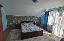 Vilă D+P+1+M - lux Dorohoi – 228 mp utili, teren 2.300 mp 