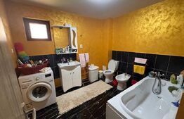 Casă modernă 152 mp cu teren 2010 mp – Mănăstirea Doamnei, Botoșani