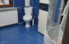 Casă modernă 152 mp cu teren 2010 mp – Mănăstirea Doamnei, Botoșani