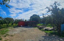 Casa Individuala | Sat Costesti