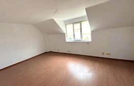 Vilă cu demisol și 2 etaje, nefinalizată, pe teren de aproape 3.000 mp