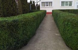 Vilă cu demisol și 2 etaje, nefinalizată, pe teren de aproape 3.000 mp