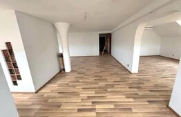 Vilă cu demisol și 2 etaje, nefinalizată, pe teren de aproape 3.000 mp