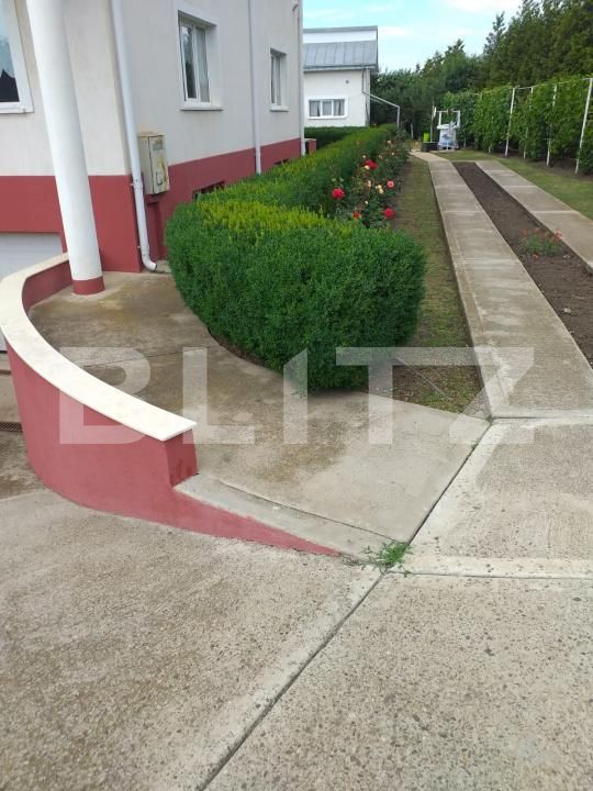 Casa de vânzare 9 camere Catamaresti-Deal - 178484CV | BLITZ Botoșani | Poza11