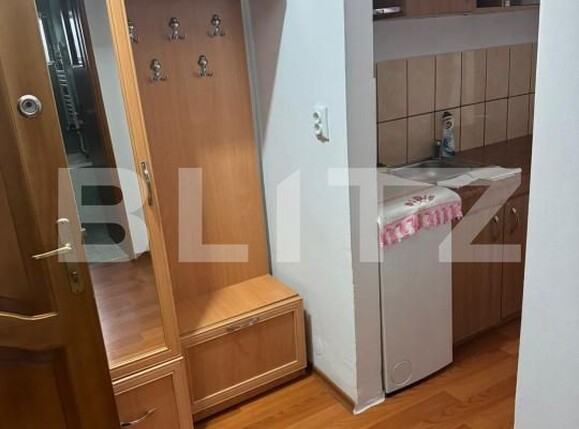 Garsonieră de vânzare Manolesti Deal - 178767AV | BLITZ Botoșani | Poza4