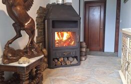 Casa individuala 68mp+ anexe + teren intravilan 3300mp , sat Movileni (Darabani)