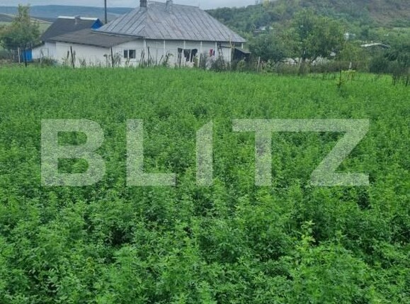 Casa de vânzare 3 camere Sud-Vest - 179224CV | BLITZ Botoșani | Poza1