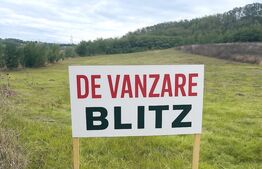 Teren extravilan de vanzare, 5.800 mp, zona Manolești-Botoșani
