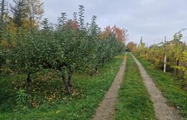 Casa Individuala | 200 MP | Baisa