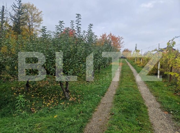 Casa de vânzare 4 camere Baisa - 180672CV | BLITZ Botoșani | Poza2