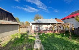 Casa batraneasca cu teren de vanzare, in Botosani