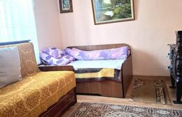 Casă bătrânească cu teren generos, în satul Mănăstireni – liniște și natură