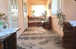 Casă bătrânească cu teren generos, în satul Mănăstireni – liniște și natură